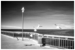 Gulls on the Pier, New Brighton